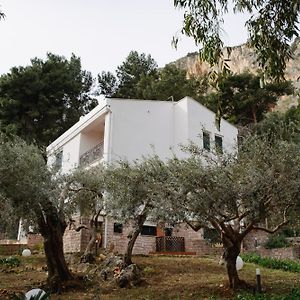 Villa Rubino Mondello - By Rentalbeb Italy